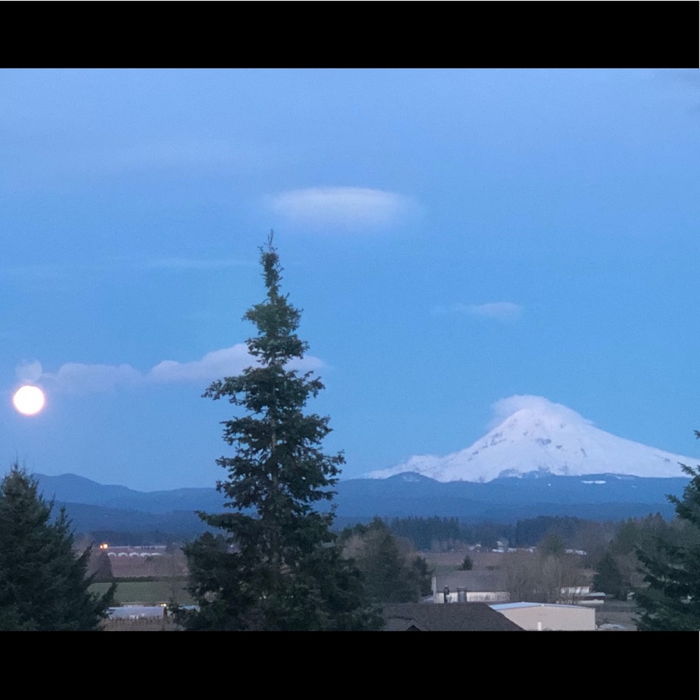 Meet your Posher, Chrissa